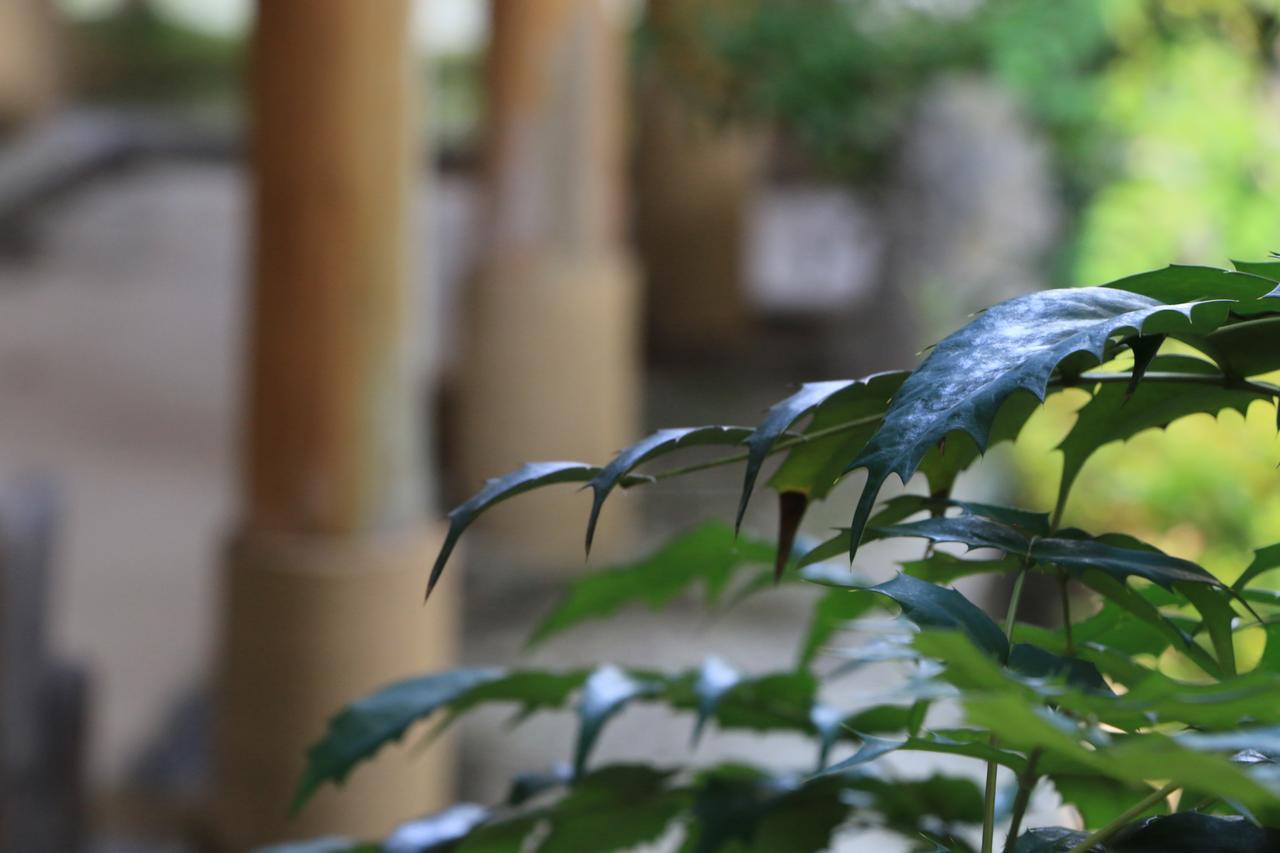 Ryokan Otsukien Kikuchi Esterno foto